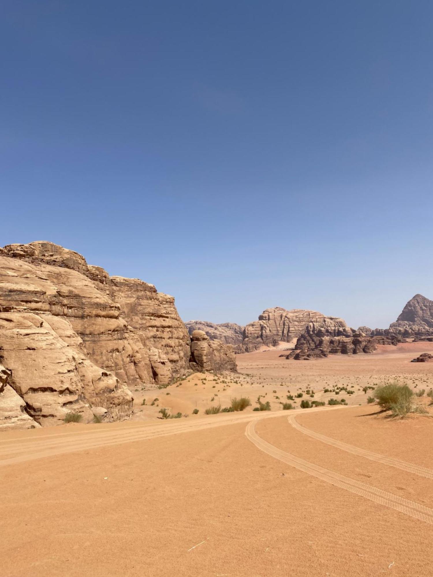 فندق Desert Hawk وادي رم المظهر الخارجي الصورة